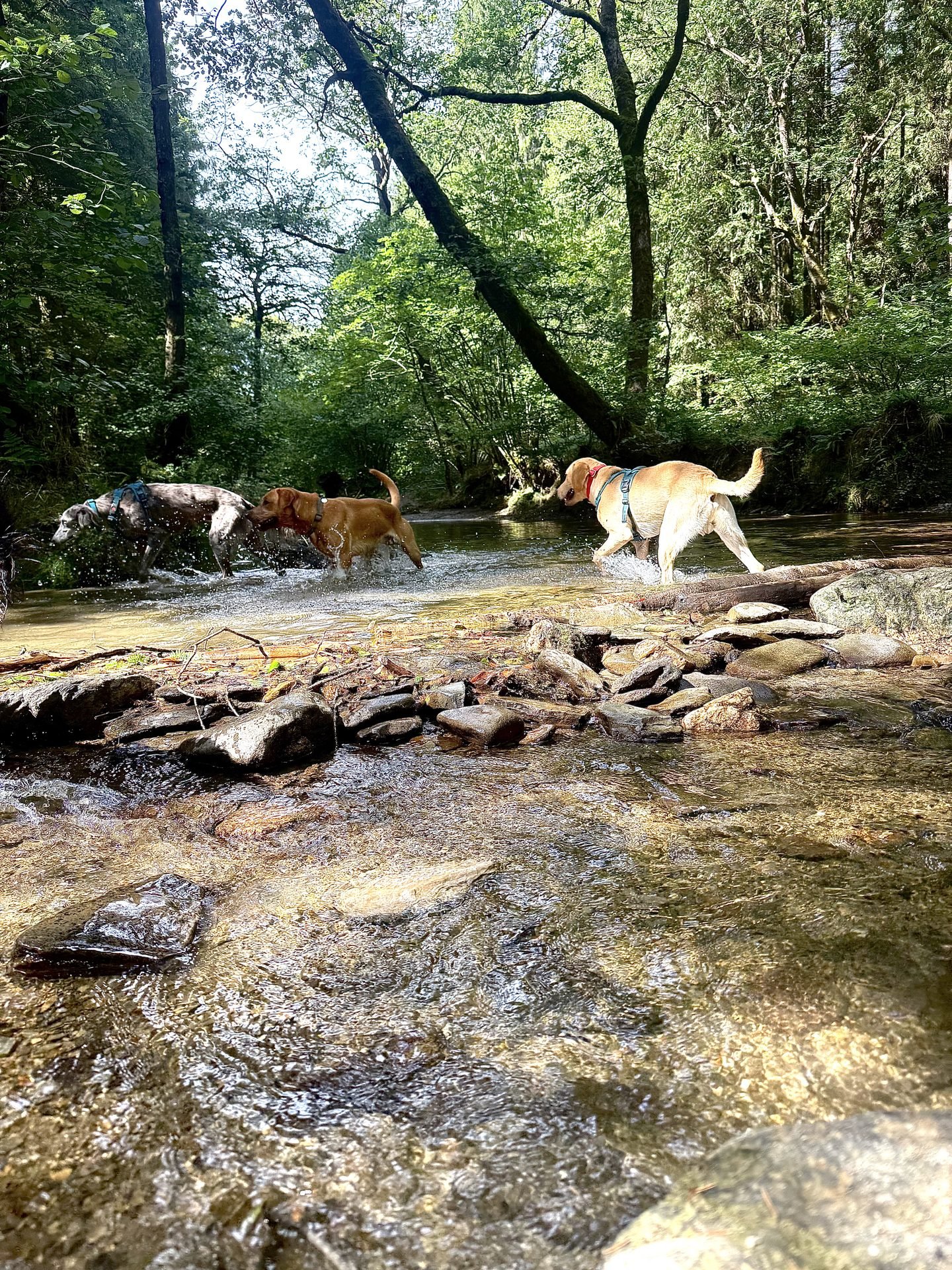 Morning group walk