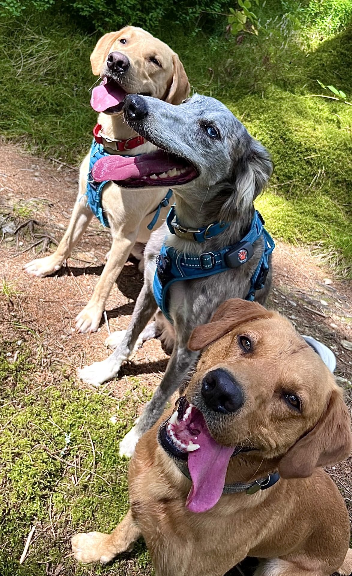 Group Adventure Walk